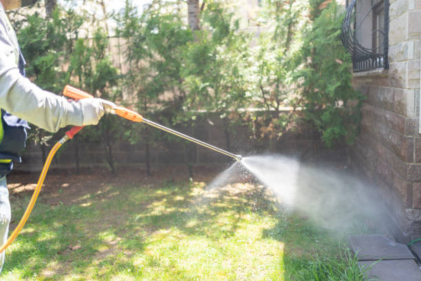 Best Residential Pest Control  in Richwood, NJ